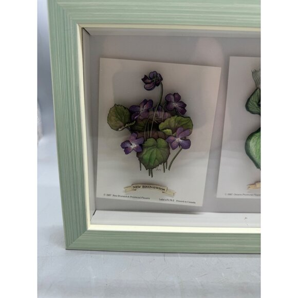 shadow box Framed 3D Botanical Prints Of Provincial Flowers green rectangle READ - Picture 2 of 16